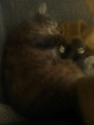 IMG_20201206_223439