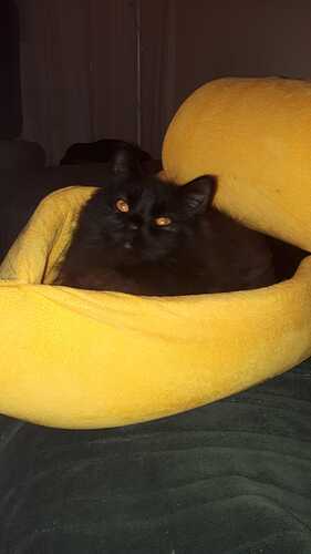 IMG-20210319-WA0056