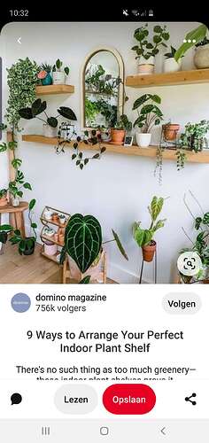 Screenshot_20210811-103231_Pinterest