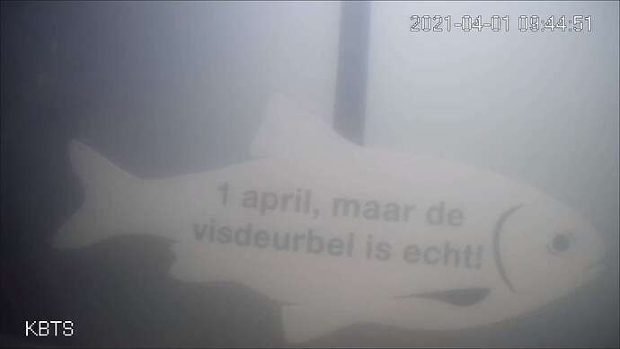 y5loshbb5lq61