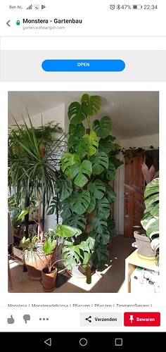 IMG-20191021-WA0019