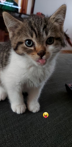 IMG_20201112_135603_254