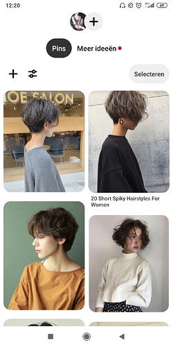 Screenshot_2020-05-09-12-20-20-261_com.pinterest