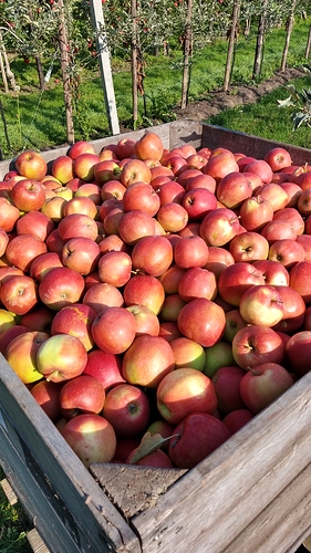 IMG_20200912_101359992_HDR