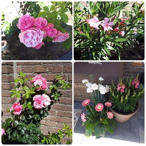Bloemen