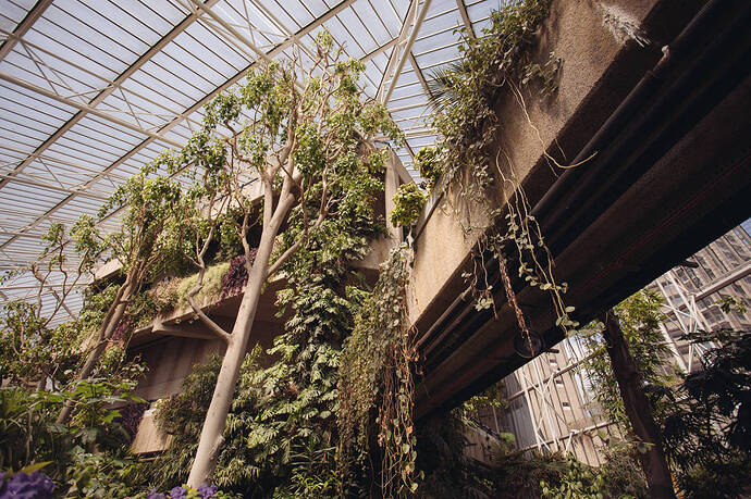 Barbican-Conservatory-Free-Things-London-13