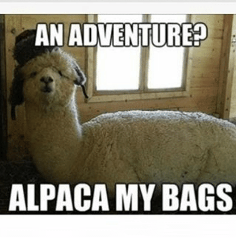 an-adventure-alpaca-my-bags-10435182