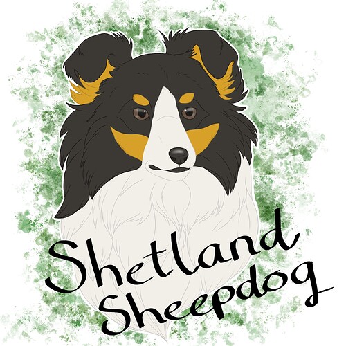 2022-09-02-Sheltie-png