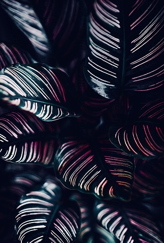 09B101E5-FA89-4626-A700-8744EF645696-754-00000027229FEAAF
