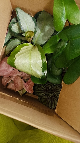 IMG-20190901-WA0042