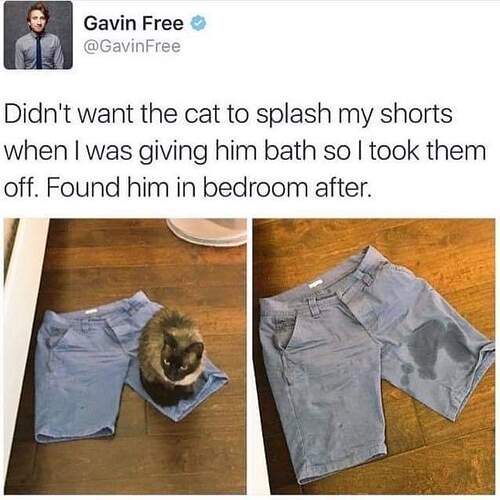FB_IMG_1612026814910