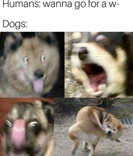FB_IMG_1613662007488