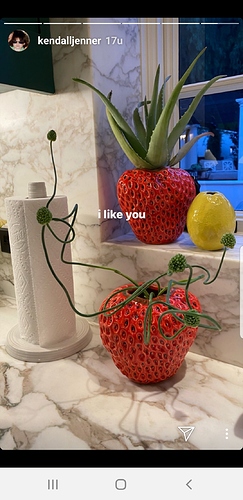 Screenshot_20200114-191732_Instagram