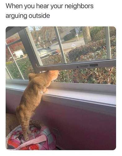 FB_IMG_1608026674437