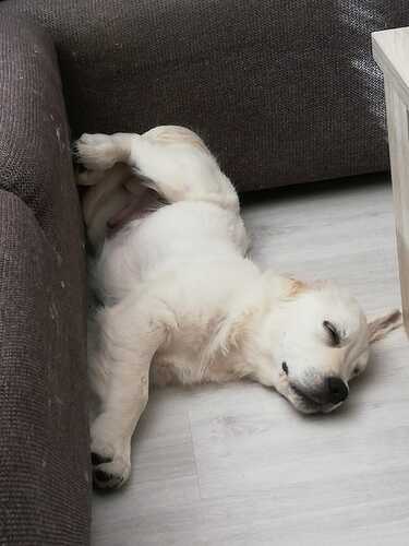 IMG-20220403-WA0010