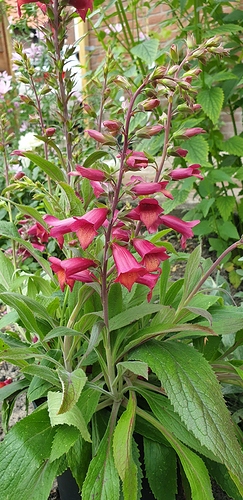 20190713_120915
