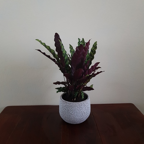 20190809_200428