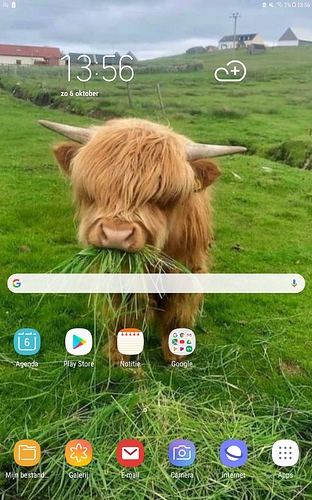 Screenshot_20191006-135642_Samsung%20Experience%20Home