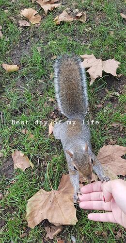 IMG_20210702_183014_423