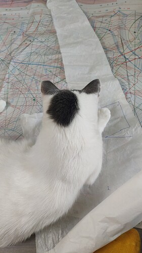 IMG-20220528-WA0007