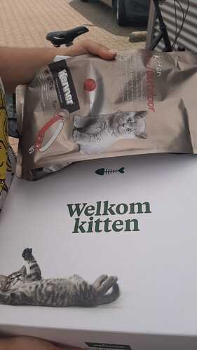 IMG-20220621-WA0002