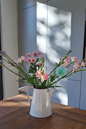 IMG_20220928_133520