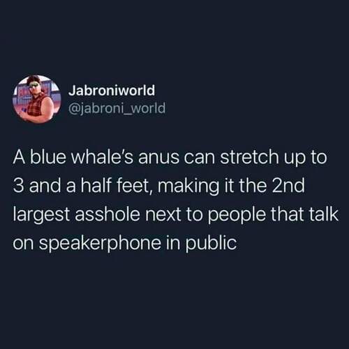 FB_IMG_1608394212391