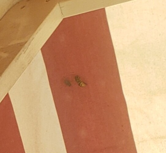 Screenshot_20220223-150841_Photos