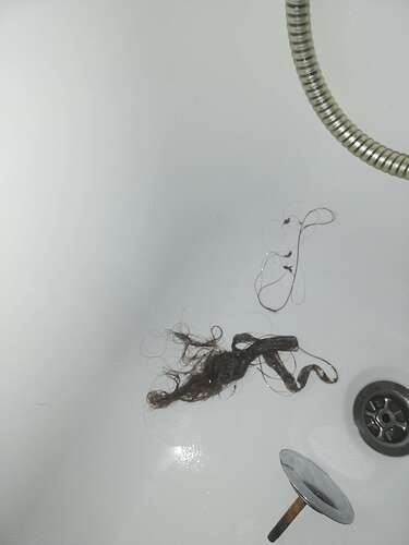 IMG_20210113_173834