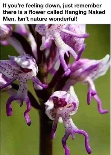 FB_IMG_1624459804509