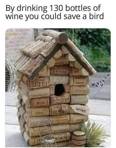 FB_IMG_1645638573463