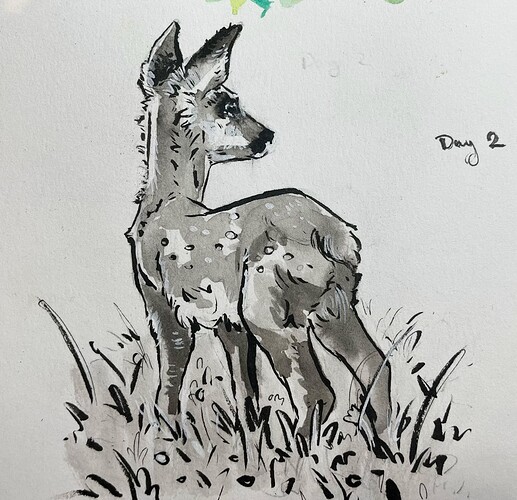 Fawn_ink