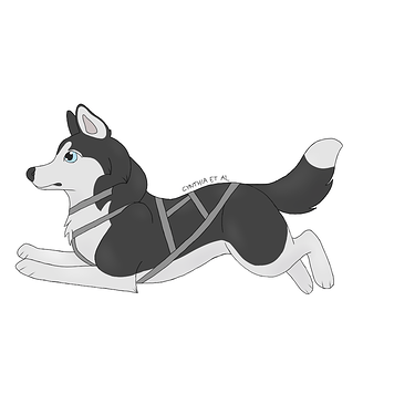 2022-05-02-ChibiHuskyBlackBlueEyesMark