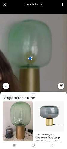 Screenshot_20210207-133957_Google