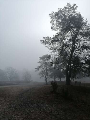 IMG_20210228_102103