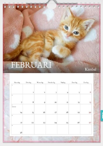 Screenshot_20211116-170047