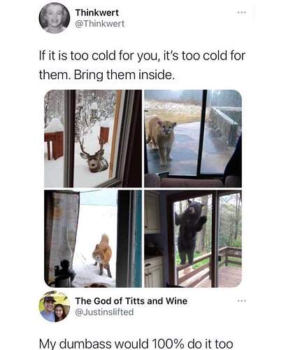 FB_IMG_1609457272302