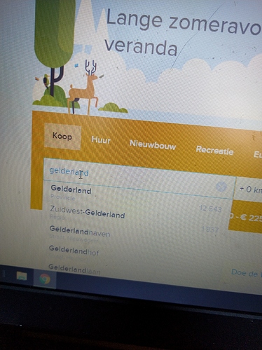 15651684731262291729205877996529