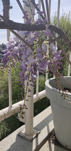 IMG_20220414_141222