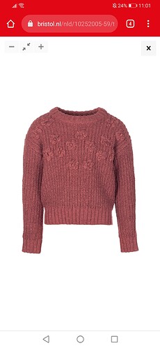 Screenshot_20211027_110115_com.android.chrome