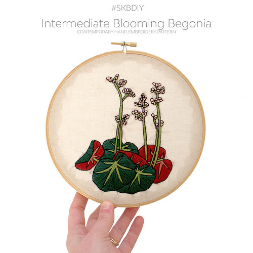 begonia+cover