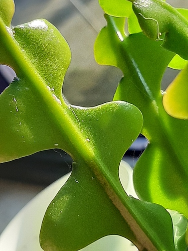 20201016_165032