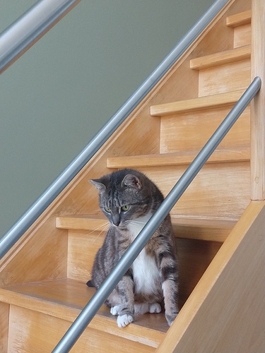 IMG_20200623_175330498