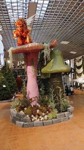 20211116_114109_HDR