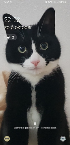 Screenshot_20191006-222822_One%20UI%20Home