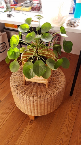 IMG-20191002-WA0008