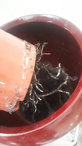 20190627_110809