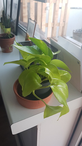 IMG-20190910-WA0020