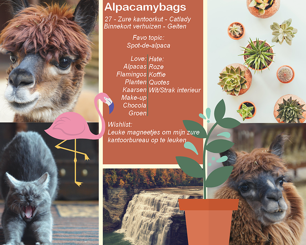 alpacamybags