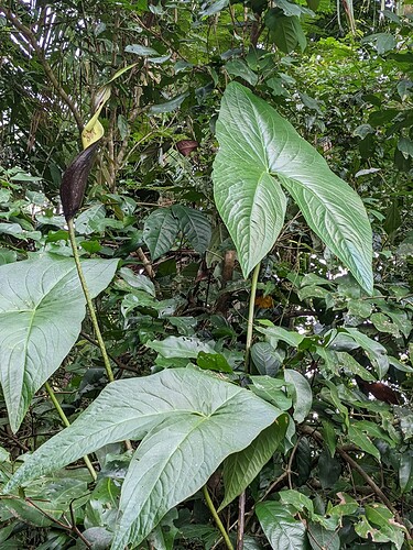 PXL_20220129_205628255.MP